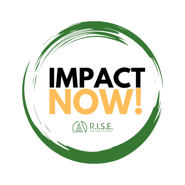 Impact NOW! Logo